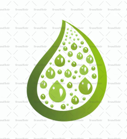 Tautropfen auf einem Blatt